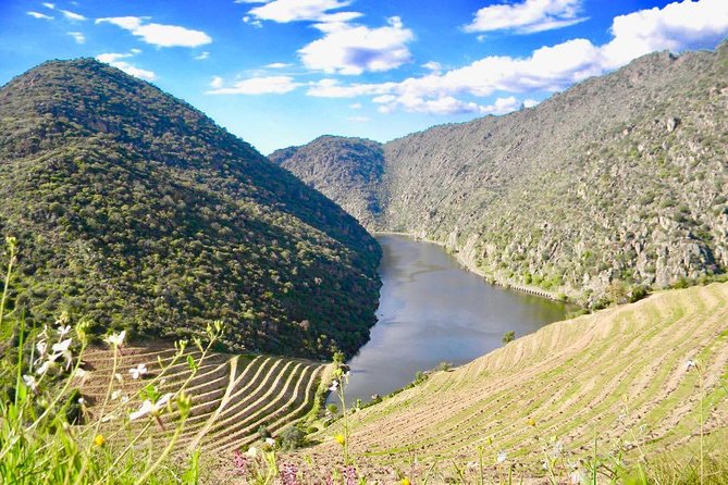 Private Douro Valley - Senses Experiences - Miradouro de Sao Leonardo de Galafura: The Viewpoint Hour