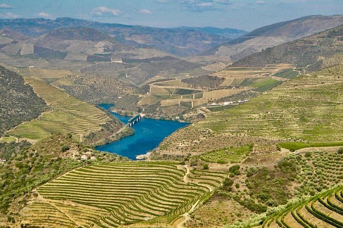Private Douro Valley - Senses Experiences - How the Reservation Service Helps You Eat and Taste Without Guessing