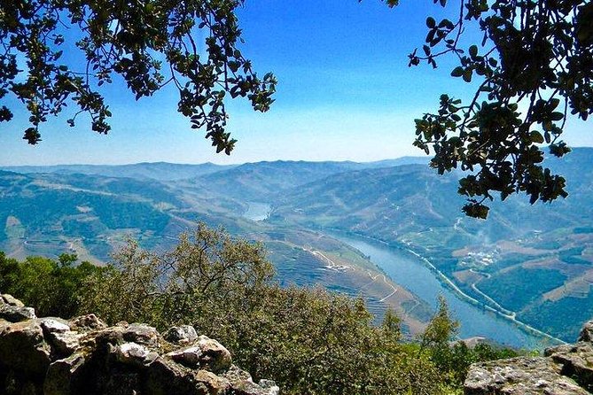 Private Douro Valley - Senses Experiences - Practical Tips to Get the Most From the N222 and Viewpoints