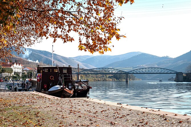Private Douro Valley Tour: Boutique Winery & River Cruise - Starting from Porto, with pickup that removes most of the hassle