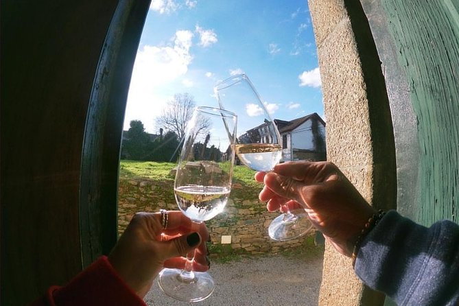 Private Douro Valley Tour from Porto - Port Wine Farm Visit: The Region’s Wine Story, in Order