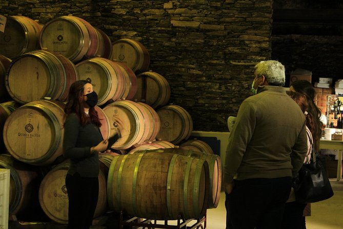 Private Douro Valley Tour from Porto - Wine, Olive Oil, and Honey Tasting at a Local Producer