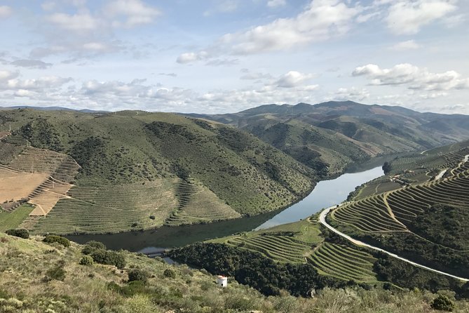 Private Douro Valley Tour Includes Wine Tasting and Boat Tour - Price and logistics: when $261.04 per person feels fair