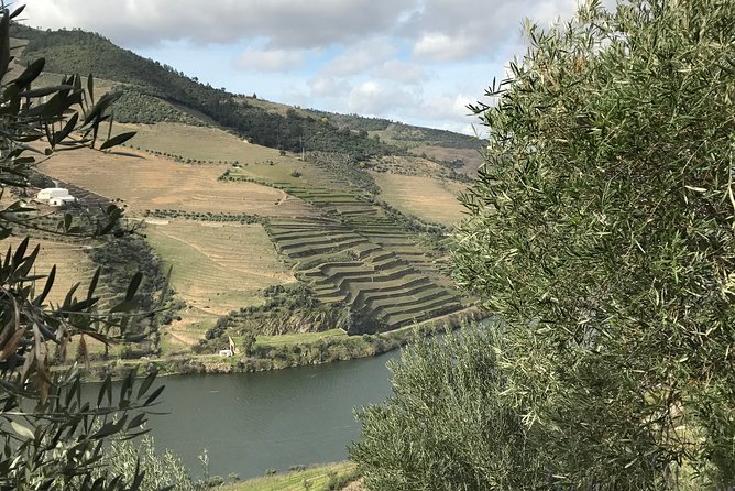 Private Douro Valley Tour Includes Wine Tasting and Boat Tour - What the best guides do on this Douro tour