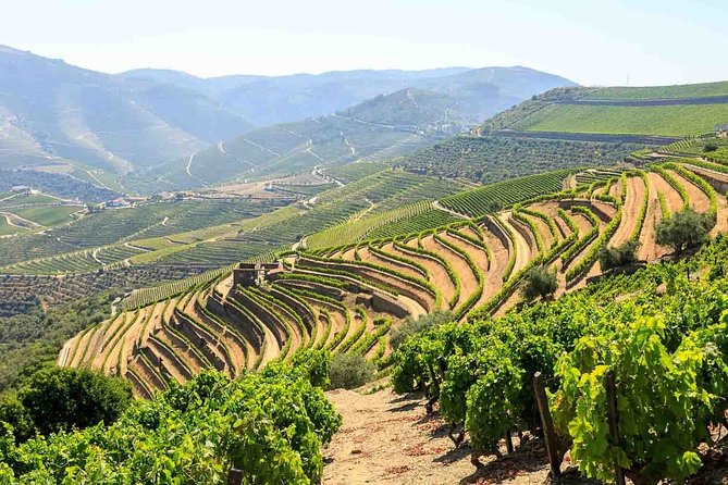 Private Douro Valley Tour Including 3 Wineries - The first scenic hits: Douro River views and Peso da Régua photos