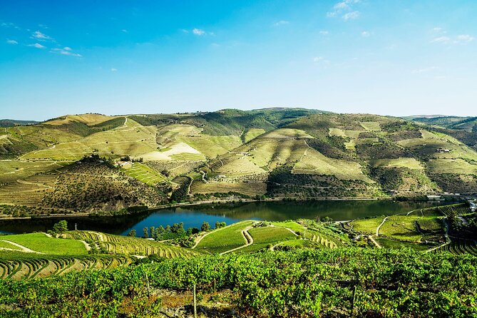 Private Douro Valley Tour Including 3 Wineries - Who this tour suits best, and who should look elsewhere