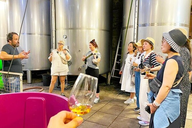 Private Douro Valley Tour Taylor Made from Porto - The Douro Valley Quinta port tasting: why this stop is worth the schedule