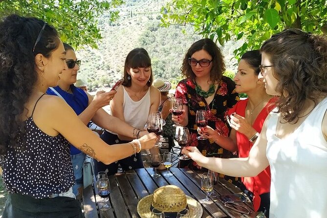 Private Douro Valley Tour Taylor Made from Porto - Price and value: what $266.16 gets you, and what to budget for