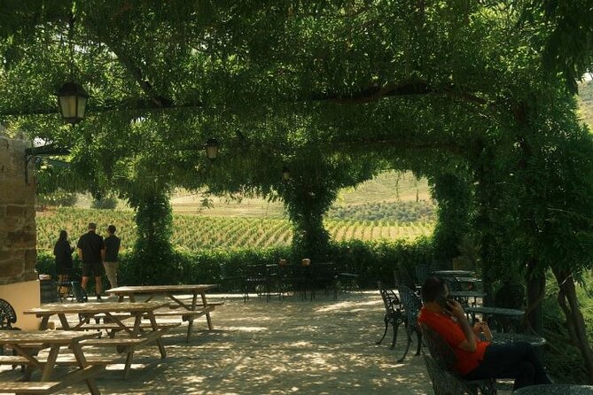 Private Douro Valley Tour with Lunch & Wines - Pinhão Views After Lunch, Plus Your Boat or Second-Winery Decision
