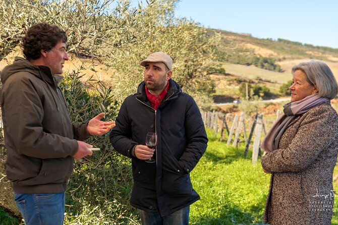 Private Douro Valley UNESCO Wine Tour from Porto with Lunch - Lunch and Timing: Why This Meal Slot Works