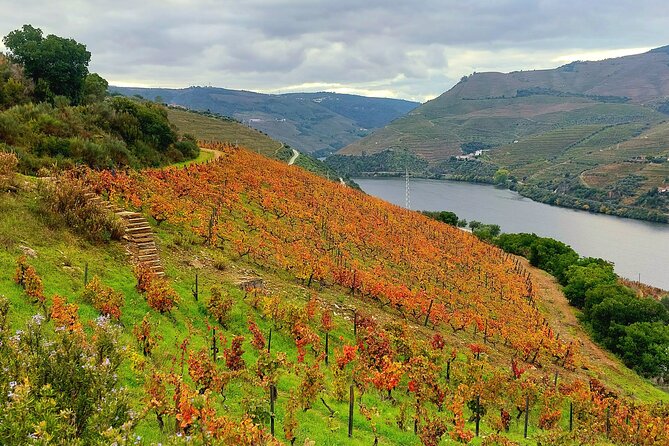 Private Douro Valley UNESCO Wine Tour from Porto with Lunch - The 1-Hour Douro Boat Trip: The View From the Water