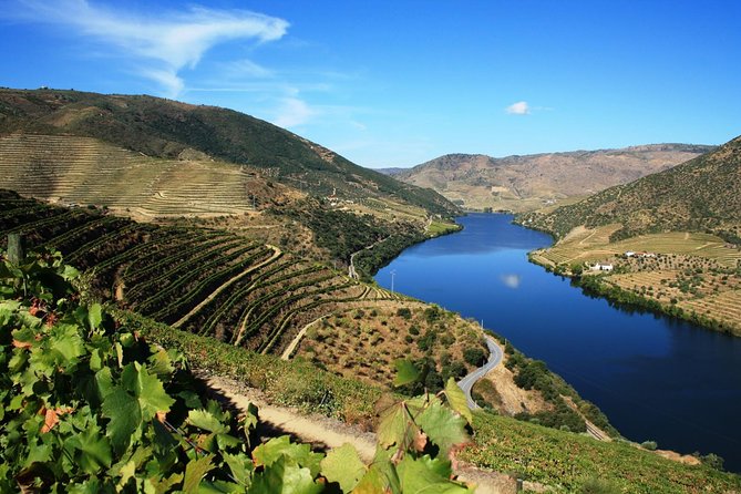 Private Douro Valley visit to three vineyards with Lunch from Porto - The value question: $342.40 per person and what you are actually buying