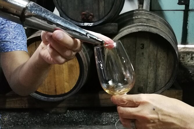 Private Douro Valley Wine Tour - Key highlights worth planning for