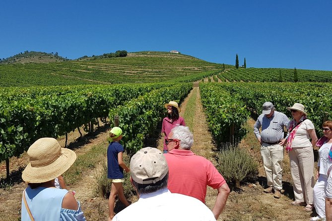 Private Douro Valley Wine Tour: 2 Wine Estates, Lunch and Cruise - Key highlights I’d plan around