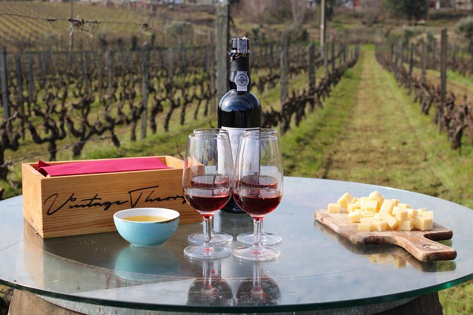 Private Douro Valley Wine Tour: 2 Wine Estates, Lunch and Cruise - The guide makes or breaks it, and these names are a clue