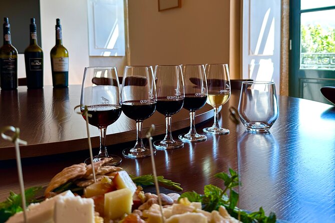 Private Douro Valley Winery Tour and River Cruise w/ Mercedes SUV - Key Things to Know Before You Go