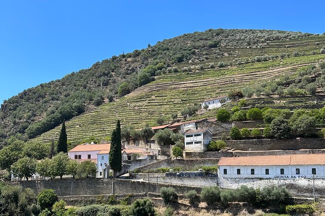 Private Douro Valley Winery Tour and River Cruise w/ Mercedes SUV - Douro River Cruise: The Water-Level View That Changes Everything