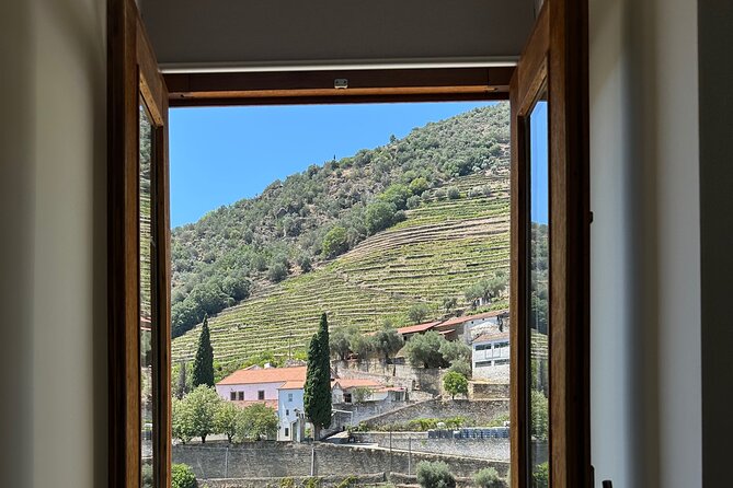 Private Douro Valley Winery Tour and River Cruise w/ Mercedes SUV - Price and Value: What $235.81 Includes, and What It Costs You