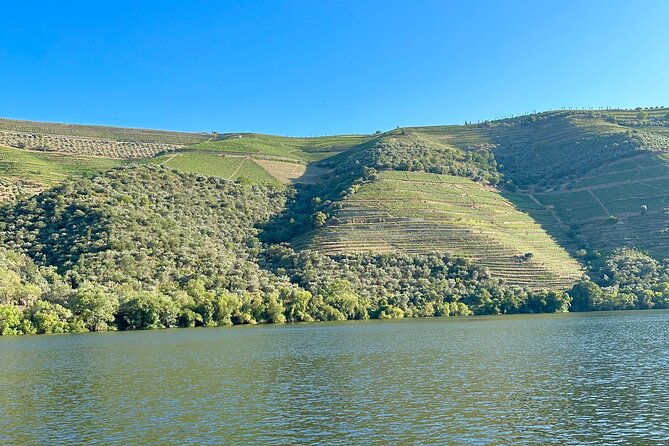 Private Douro Valley Winery Tour and River Cruise w/ Mercedes SUV - Who This Douro Valley Tour Suits Best