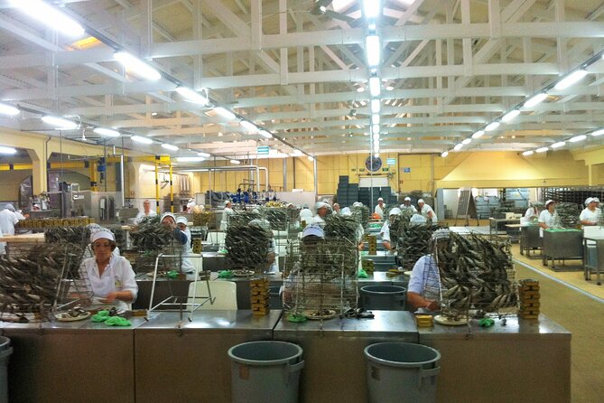 Private Fish Experience with Market-to-table lunch from Porto - Angeiras and the fishermen arrival, the morning you came for