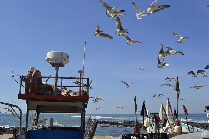Private Fish Experience with Market-to-table lunch from Porto - Matosinhos municipal market, picking fish for lunch