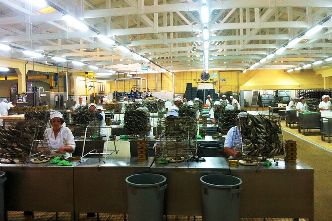 Private Fish Experience with Market-to-table lunch from Porto - The lunch setup, what you can expect from market to plate