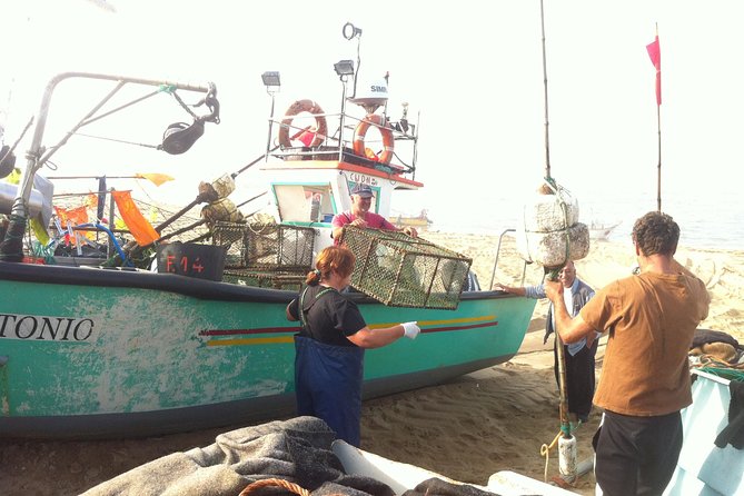 Private Fish Experience with Market-to-table lunch from Porto - Price and logistics, what $300.40 per person actually buys