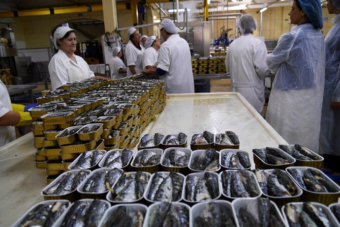 Private Fish Experience with Market-to-table lunch from Porto - Who this private fish trip suits best
