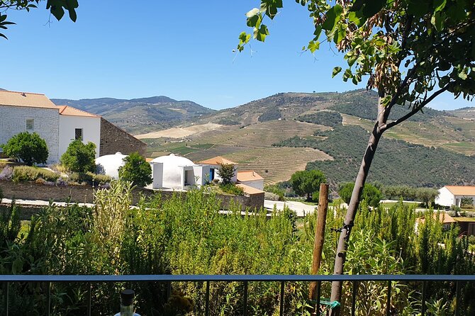 Private full-Day Tour to Douro Valley - Key highlights you will feel right away