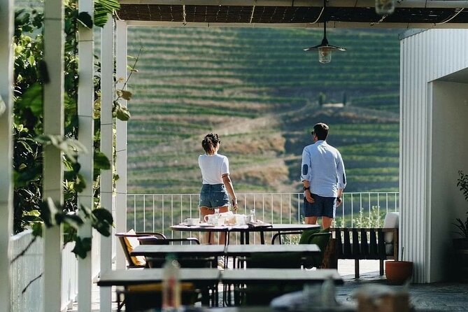 Private full-Day Tour to Douro Valley - The big picture: a full day Douro run that starts and ends in Porto