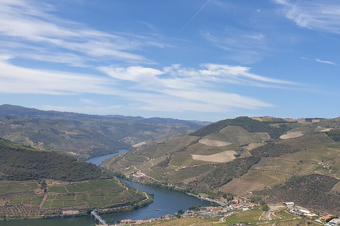 Private full-Day Tour to Douro Valley - Quinta Seara d’Ordens: comparing small and large farms through tastings