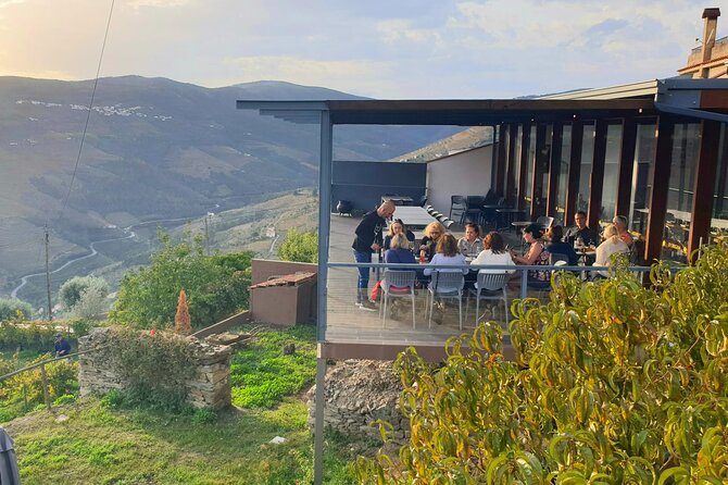Private full-Day Tour to Douro Valley - Morning start: Porto pickup plus the olive oil museum education