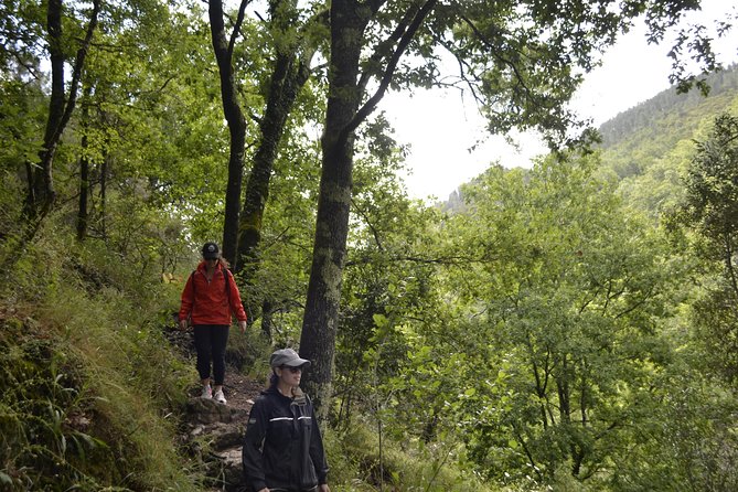 Private Geres National Park Tour with Lunch and Transfers - Weather strategy: flexible guiding when the sky turns