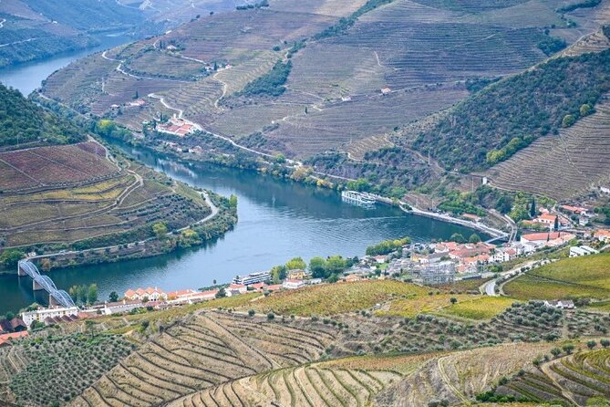 Private Half-Day Douro Tour - Quinta de La Rosa Wine Tasting, and What Makes It Worth Your Time
