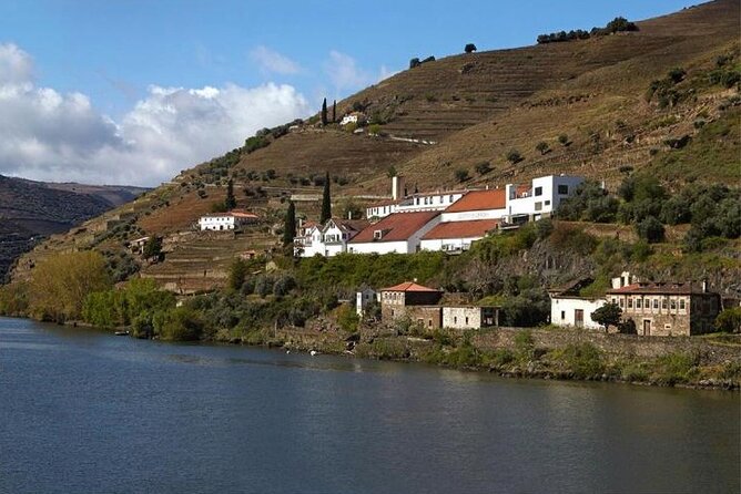 Private Half-Day Douro Tour - Roast Goat Lunch: Where the Day Gets Real