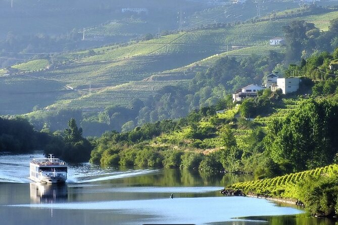 Private Half-Day Douro Tour - The 7 to 10 Hour Reality, and How to Enjoy It Without Stress