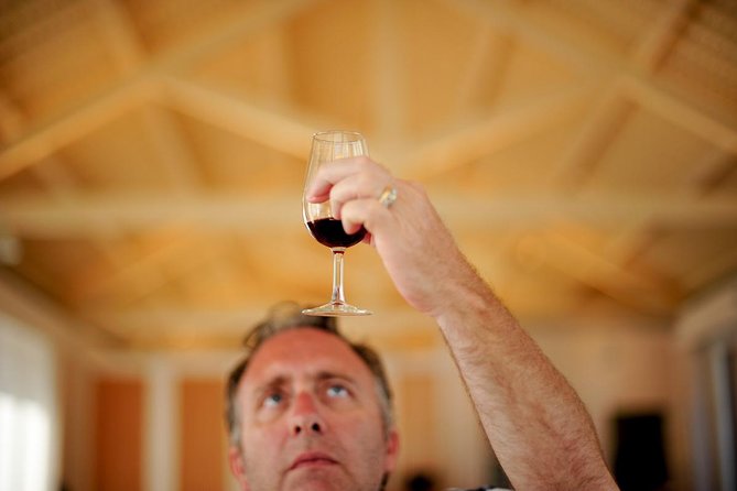 Private off the beaten Douro Valley Wine Tour - Stop 2 near the north: DOC Douro wines at a traditional boutique producer