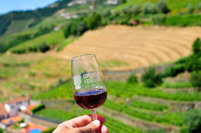 Private off the beaten Douro Valley Wine Tour - The value question: what $393.05 buys you on a private day