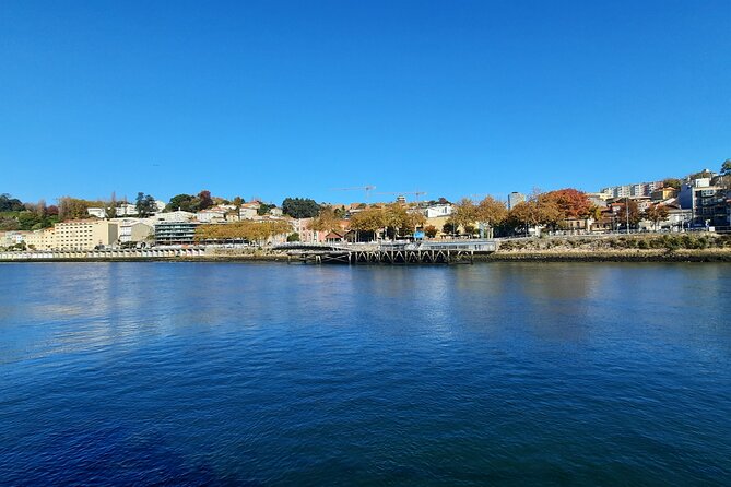 Private Porto City Half Day Tour with River Cruise & Wine Tasting - The Douro river cruise: why this is the best use of your half-day