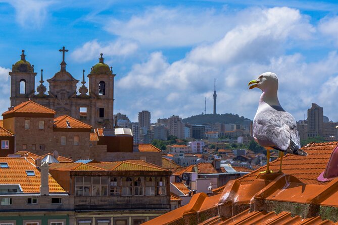 PRIVATE Porto walking tour with historian - Clérigos Church and Miradouro da Vitória: where architecture turns into views