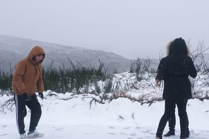 Private Serra da Estrela Gastronomy & Snow Tour from Porto - Seia’s Museu do Pao: bread as culture, tools, and ritual