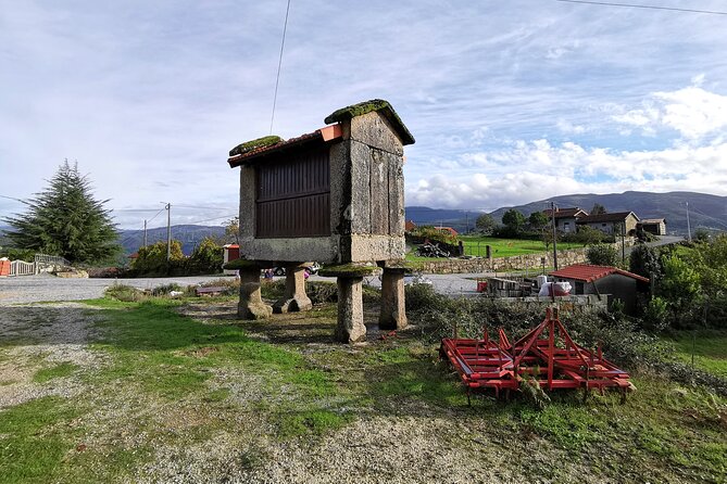 Private / tailor made experience in Gerês National Park - Reforestation project participation: tourism that gives something back