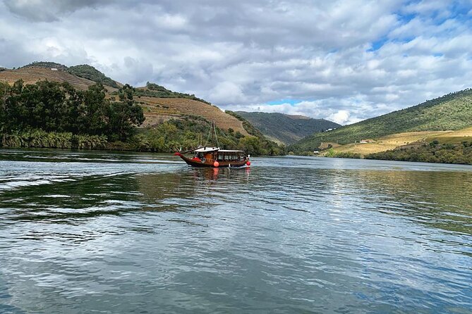 Private Tour - Pinhão tastings and the gold wine moment you’ll remember