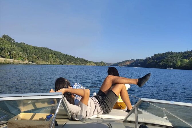 Private Tour 6 Bridges and Douro 2h opt. sunset, group price up to 6px - Ponte da Arrábida: the bridge style that feels like a lesson