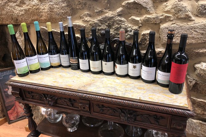 Private Tour Alvarinho (Melgaço and Monção) includes 3 wine tastings - Castelo de Melgaço and Torre de Menagem: a quick medieval breather