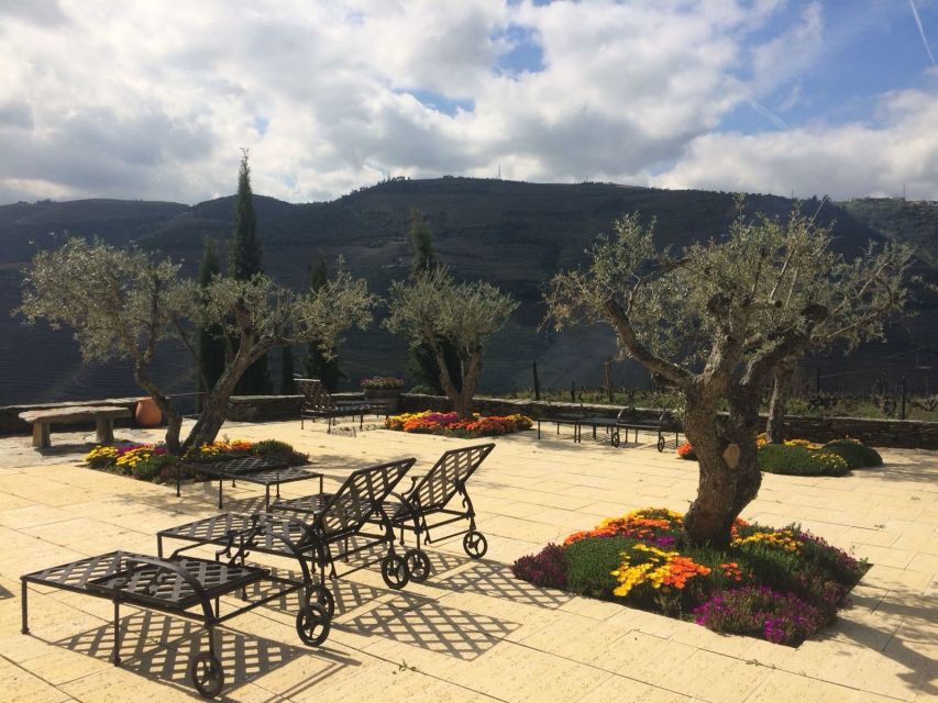 Private Tour: Douro Valley Wine and Food From Porto - Key Points You’ll Care About
