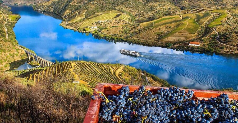 Private Tour: Douro Valley Wine and Food From Porto - Pinhão: UNESCO Wine Town Time and the Tiled Train Station