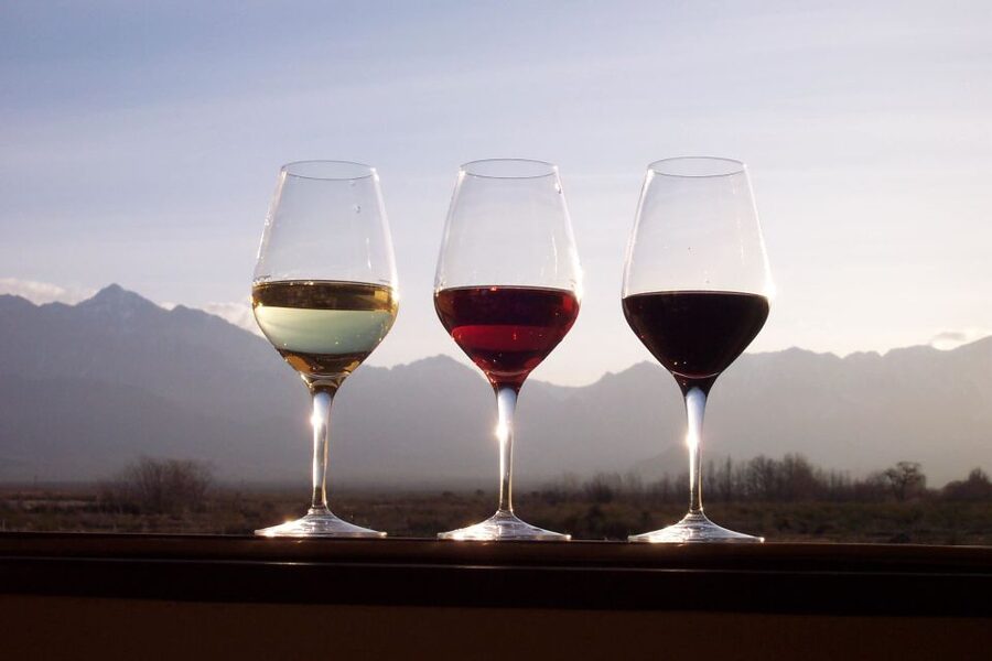 Private Tour: Douro Valley Wine and Food From Porto - Winery Visit Options: When Morning Tastings Can Change