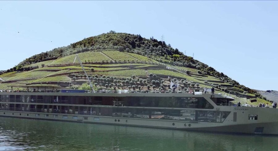 Private Tour: Douro Valley Wine and Food From Porto - Price and Value at About $212 Per Person
