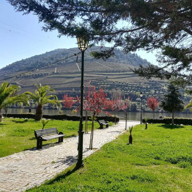 Private Tour: Douro Valley Wine and Food From Porto - Comfort, Timing, and How to Make the Day Run Smoothly